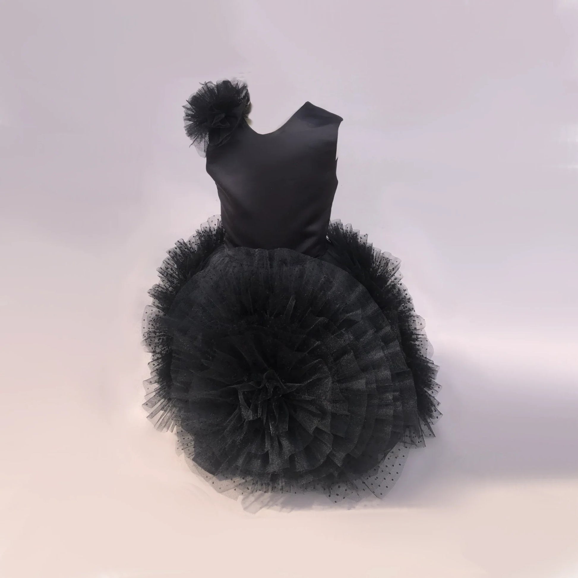 Allesia Black Tutu Dress