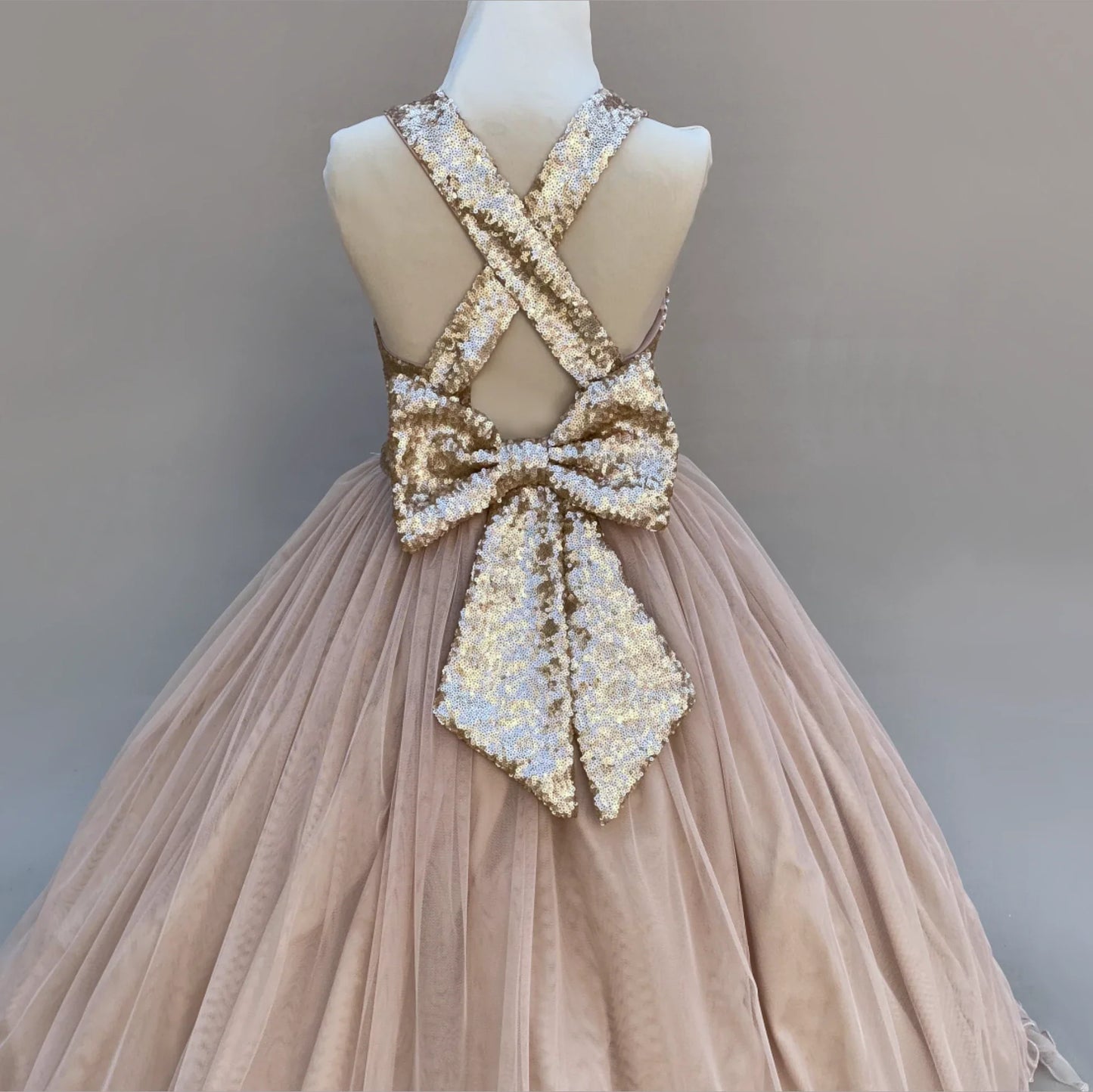 Alichia princess sequin tulle dress