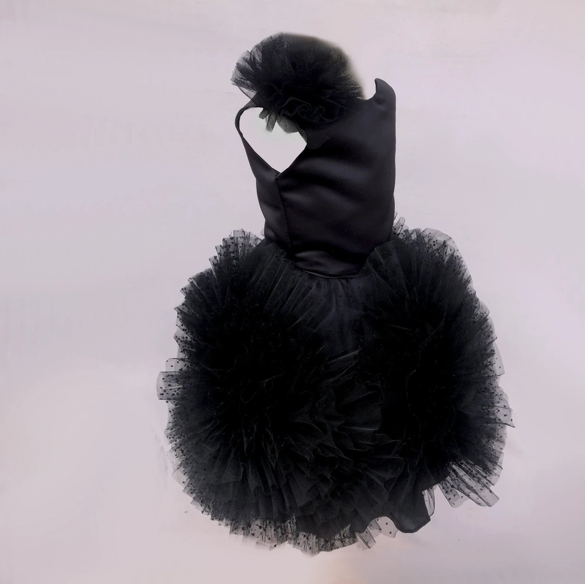 Allesia Black Tutu Dress