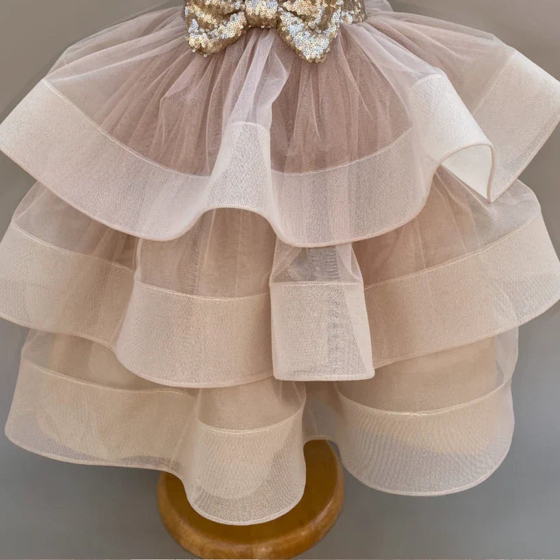 Aurora Sequin And Tulle Ruffled Tutu