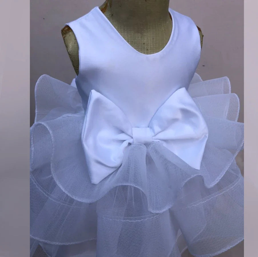 Angelica tutu twirl dress