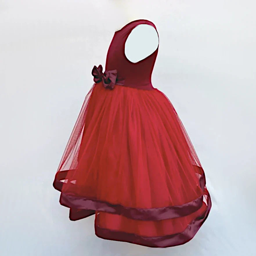 Mcayla Burgundy Tulle Dress